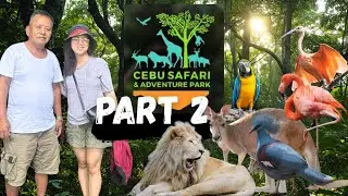 ЧАСТЬ 2. САФАРИ НА СЕБУ: БЕЛЫЙ ЛЕВ, КЕНГУРУ, АРА, ПОПУГАИ, ГОЛУБИ, ЛОРИ, ФЛАМИНГО | beeyay