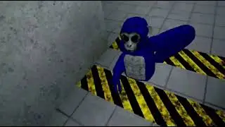 SCARY BABOON 😨 by Kai - VR Experience #krazykaikaifamily808 