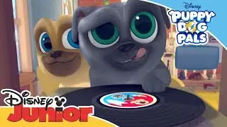 Puppy Dog Pals 🐶 | ♫ Theme Song ♫ | Official Disney Channel Africa