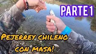 PESCA DE PEJERREYES CON MASA!! 