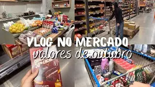 VLOG COMPRAS DO MÊS🛒| Mostrei preços, produtos e valor total💸