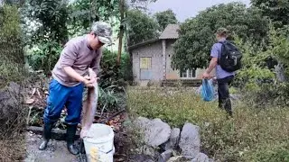 Chef Mr. Trieu Son left the city to live in the forest and build a farm to cook delicious dishes.