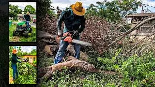 Video 039 &ndash; Chainsaw Tree Cleanup & Tall Grass Mowing | Extreme Overgrown Yard Rescue | Asmr
