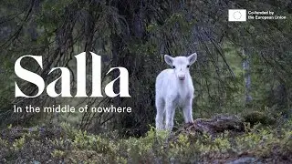 Salla in the middle of nowhere