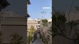 udaipur rajasthan #udipur #rajasthan #viralshort #udipur #travel #minivlog #fatehsagarlake