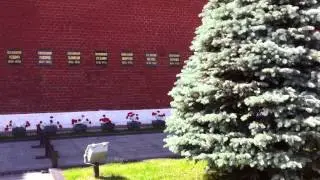 Kremlin wall cemetery # 6