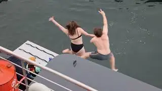 Polar Plunge