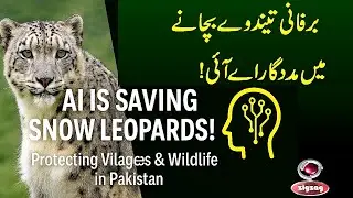 How AI Is Saving Snow Leopards in Pakistan | Wildlife Conservation & Community Protection