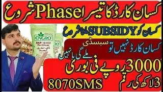 CM Punjab Kisan Card 3rd Phase & Fertilizer Subsidy 2025 | Full Details & Latest Update for Farmers