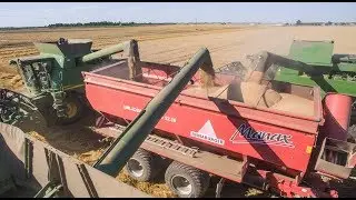 Summer Best Moment! Annaburger HTS 22.16 + 3x John Deere combine
