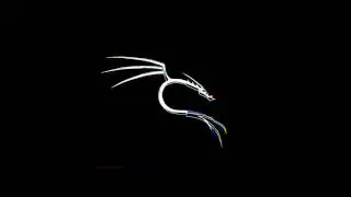 Best 4k Kali Linux intro 2023 | Kali Linux | #trending #viral #intro #kalilinux #linux #mrkalilinux