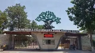 Which animals are there in Chhatbir Zoo?