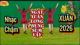 Nhạc Chậm - NGÀY XUÂN LONG PHỤNG SUM VẦY // Shuffle Dance // xem hướng dẫn dưới video👇