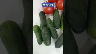 21.08. Закупки в Lidl #shorts #поехаливпольшу #обзор