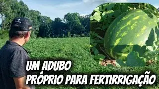 FERTIRRIGAÇÃO NA MELANCIA