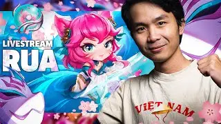 mai meta mới
