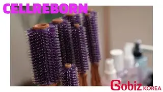 CELLREBORN - Athens Goddess Hair Roll brush