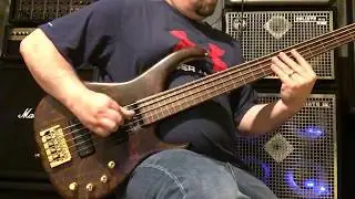 Modulus Q5 fretless with 45s