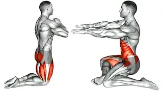 Fix Tight Groin Strengthening & Stretching Exercises