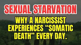The Hunger of the Void: Why the Narcissist Experiences 