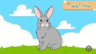 Que animal &eacute; esse? vamos descobrir as sombras dos animais 
