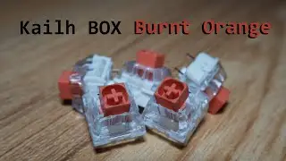 Kailh BOX Burnt Orange review | The 'Untactile' Tactile Switch