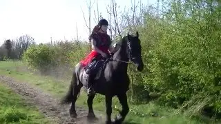 RSV de Hoge Devel Ponykamp 2015 Japony Trailer!