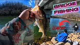 The CHEAT CODE is Bridge Fishing | Witness Genuine Old School Fishing Fun