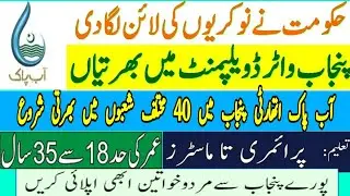 Govt Jobs in Punjab Aab e Pak Authority 2020, Wasa Jobs in 2020, Government Jobs in 2020, Ilmi Dunya
