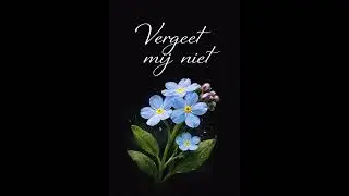 Vergeet mij niet  - Sietse Terpstra 