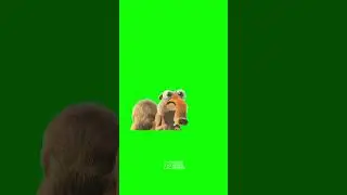 Green Screen Gulehri | Green Screen Squirrel | #chromakey #squirrel #greenscreen