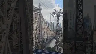 ROOSEVELT ISLAND LUGLIO 2025