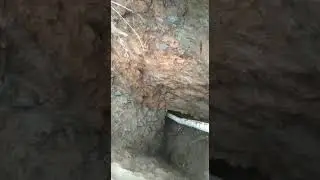Tunel Utilizado por Desaprensivos para Extraer Oro del parque 7 picos y Area Protegidas.