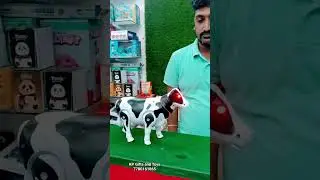 Cow Toy #toysforkids #toys #funny #giftstore
