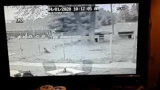 76 year old man jumps over a gate and sticks the landing