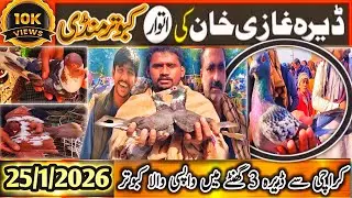 Kabootar Mandi | DGKhan Latest Update 41Vlog | DGKhan Mandi | Karachi Se Dera Sirf 3 Ghantay SpeciaL