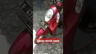 merah candy clear semi black #shorts