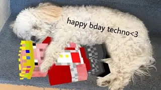 floof content cuz it&rsquo;s techno's birthday