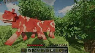 Minecraft Survival No Commentary - Episode 1