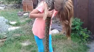 Krajta mř&iacute;žkovan&aacute; aneb n&aacute;&scaron; mazl&iacute;k
