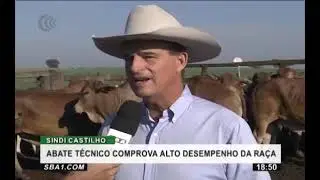 SINDI CASTILHO 12 ABATE T&Eacute;CNICO