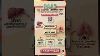 Renin Angiotensin Aldosterone System (RAAS) | One Shot RevisionShorts#NursingExam#NCLEX#AIIMS#NEETPG