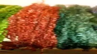 Fleece processing - Tregaver Fibre