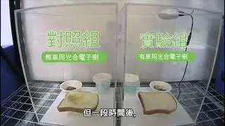ECOHEAL Air Purifier Car Style reduce mold and fungen