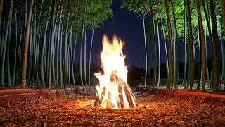 Flickering Firelight | Bamboo Forest Sounds | Cozy Night Ambiance | Night relaxation