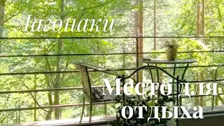 🎬 ПОРТФОЛИО: Рекламный ролик для базы отдыха в Лагонаки | Dream Code