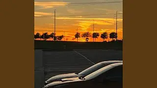 The wind