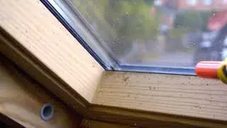 Slow Motion Bug a Salt Fly carnage