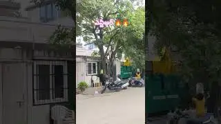 ntr house#trending #viralvideo #shortsfeed #youtubeshorts #ytshorts #reels