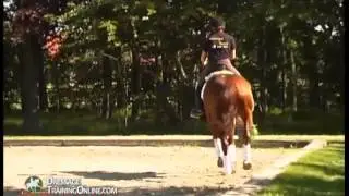 Catherine Haddad on opening up the back and gaining collection & tempi changes